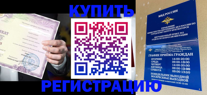 временная регистрация собственник в ЕАО